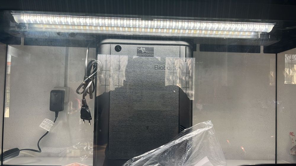 Aquário completo de água quente tudo incluído com peixes