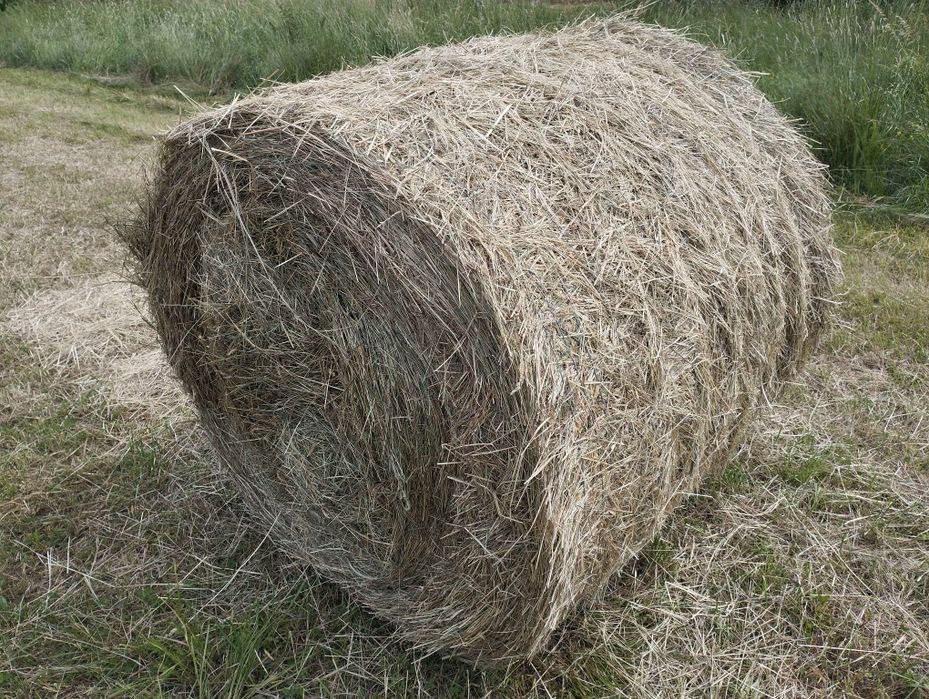 Sprzedam bale ze siana