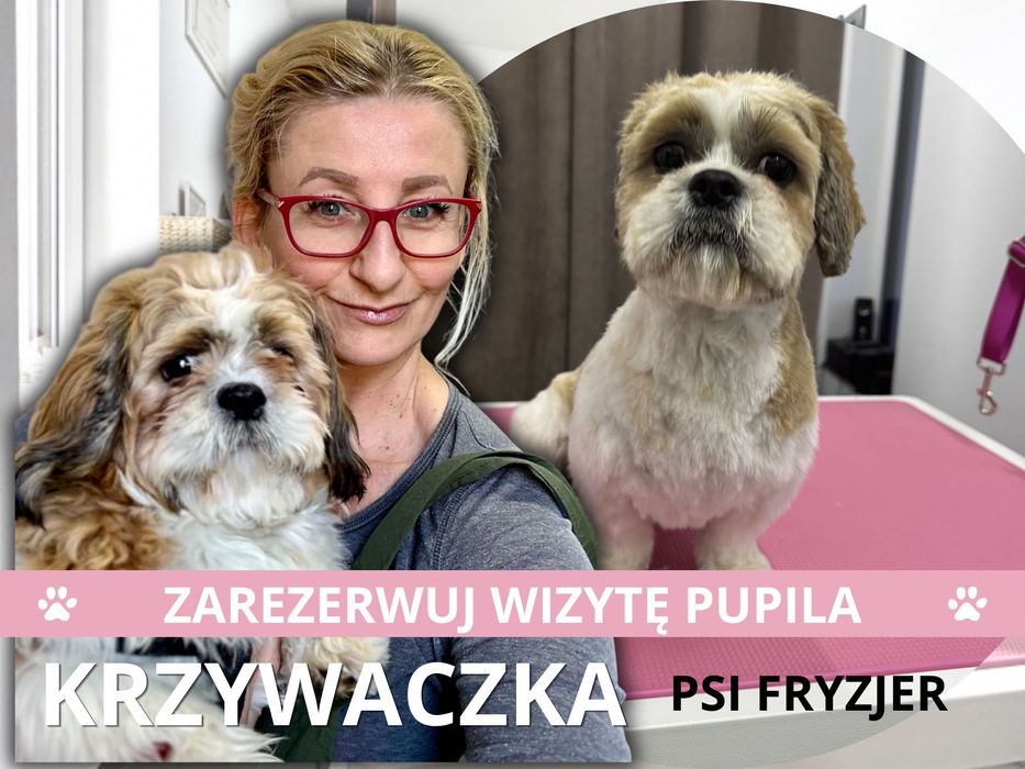 Twoja psina prosi o wizytę! Kompleksowy grooming i psie SPA  KRZYWACZKA