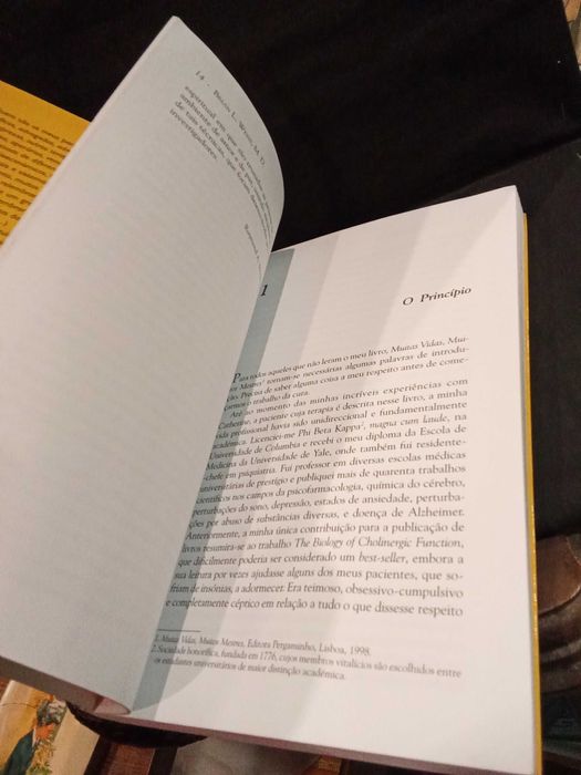 O Passado Cura - Brian L. Weiss