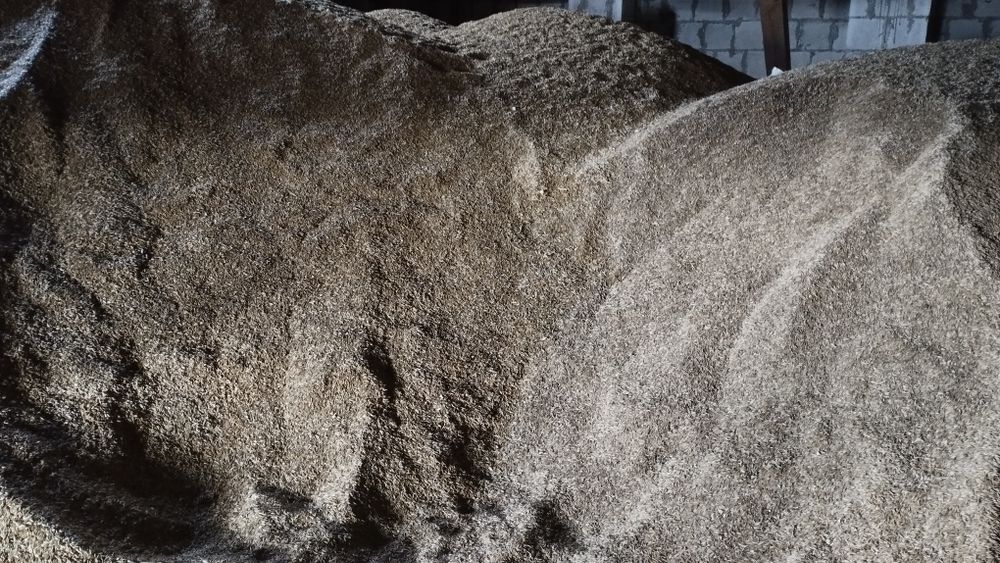 Owies i inne zboża.