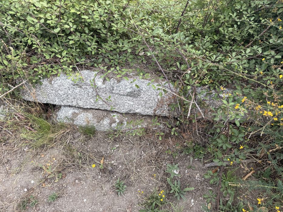 vendo pedras de lagar