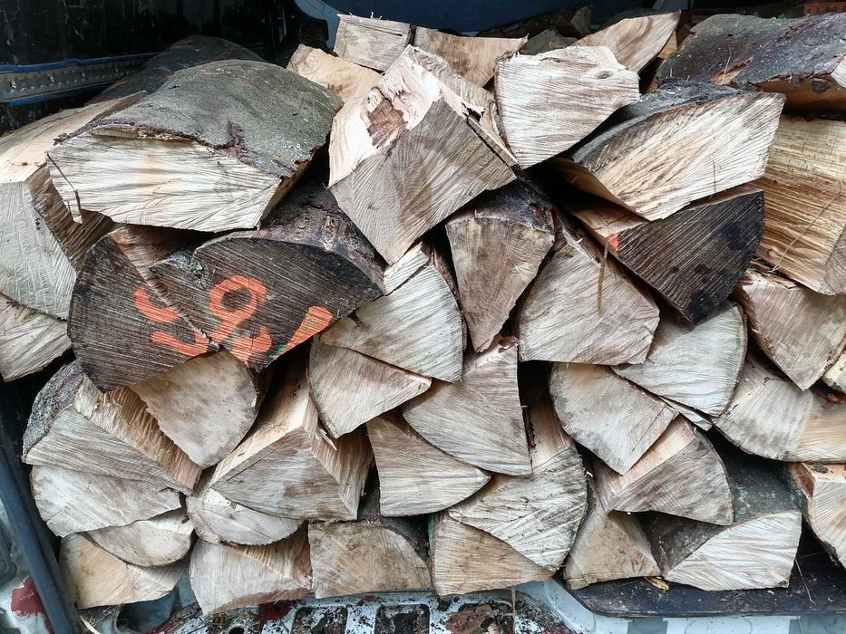 drewno drzewo kominkowe buk, dąb