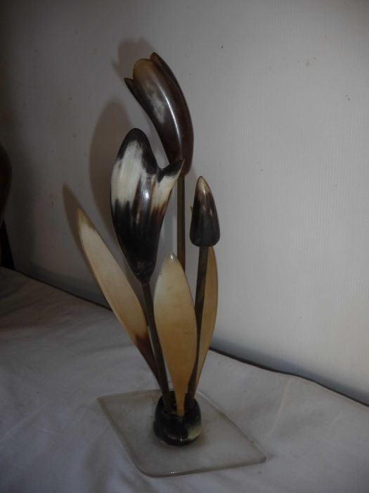 Цветы тюльпаны коровий рог сувенир сувенір квіти ріг