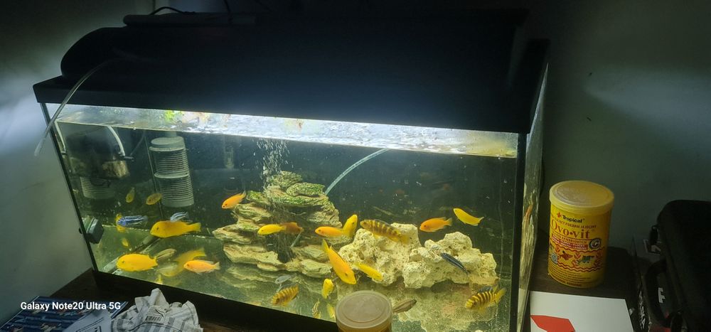 Sprzedam akwarium 112 l