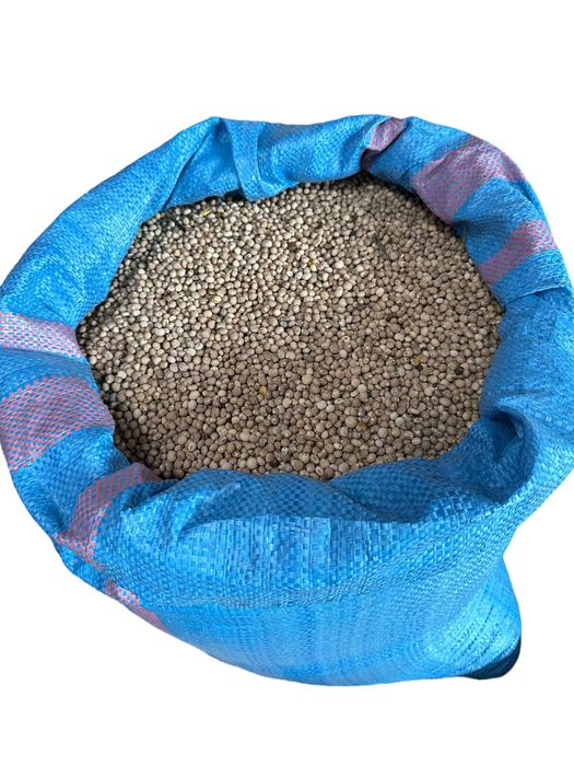 Łubin słodki - materiał paszowy 1kg