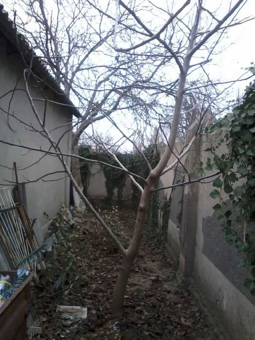 Будинок за адресою (площа 70 м²) - Atlanta.ua - фото 3