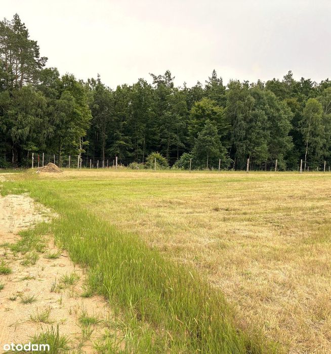 Działka budowlana w lesie. Z Pozwoleniem na Bud. Kaszuby. Jezioro