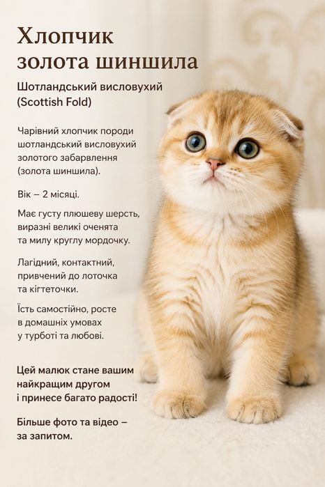 Шикарний антистрес