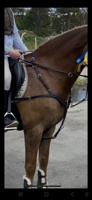 Napierśnik anatomiczny 5pkt full JH Collection