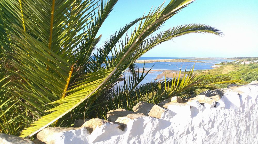 Câmara digital 4K, 48MP 16X Zoom