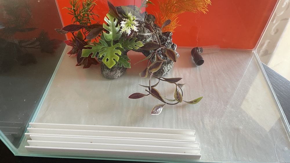 Aquario com filtro incluido