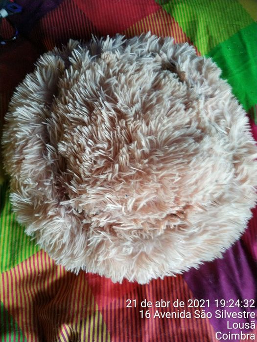 CONJUNTO BERÇO para gato/cachorro E BRINQUEDOS