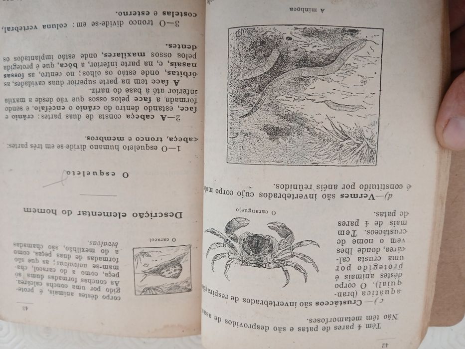Sciencias Fisico Químicas,Zoologia, Botânica, Higiene e Agricultura
