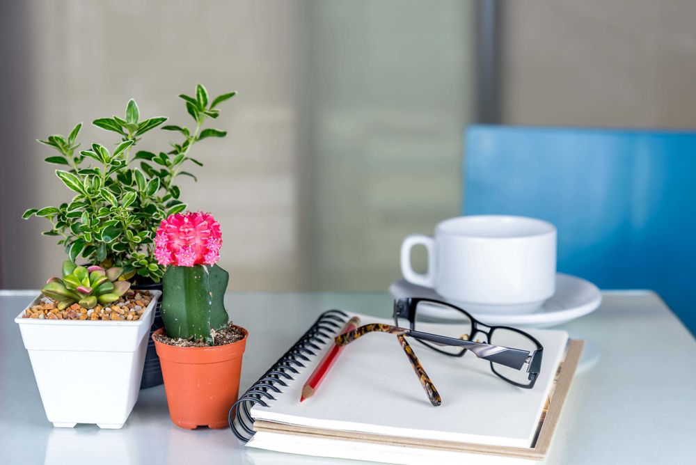 Profesjonalne sprzątanie biur w Warszawie.
