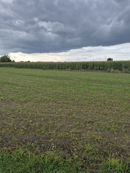 Działki Dąbrowice/ Krężce