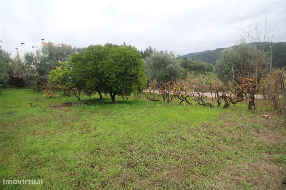 Land Plot, Coimbra, Almalaguês