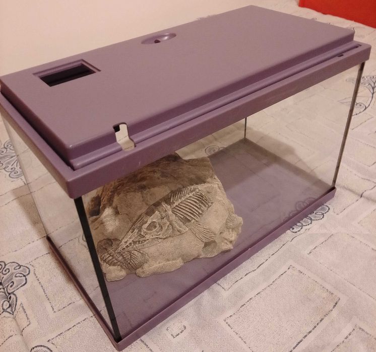 Aquário para peixes.