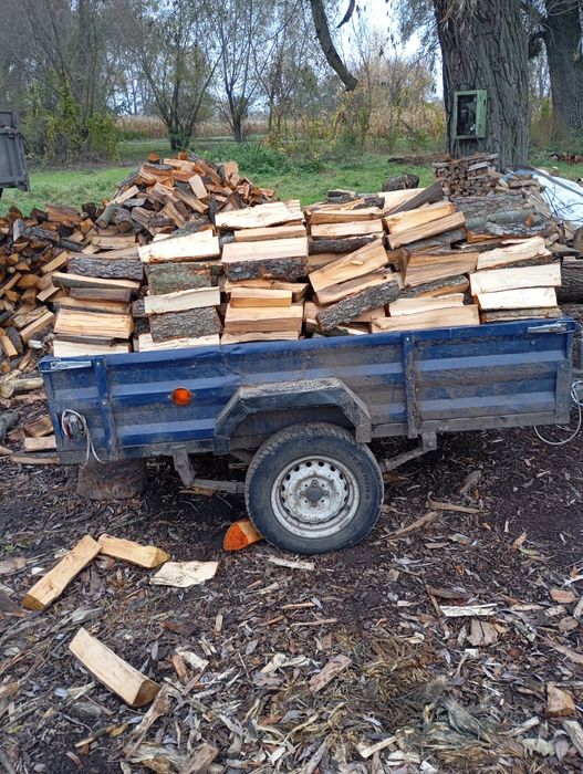 Продам дрова дуб,акація,сосна