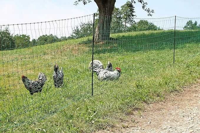 Siatka elektryczna dla drobiu Premium 50 m, 122 cm, podw szpic zielony