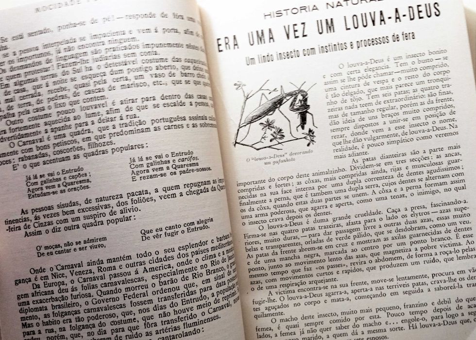 Mocidade Portuguesa. 1932 a 1935.