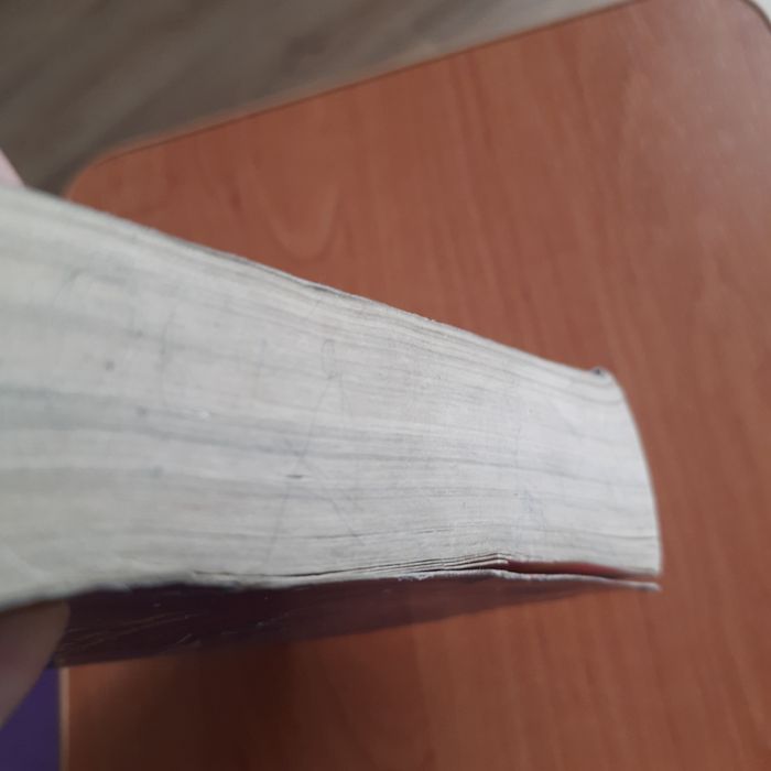 The Midnight Gang by David Williams книга на англійський