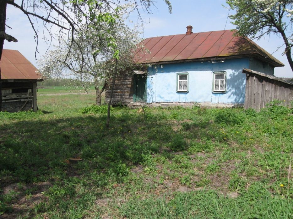 Продам дом в селе Савинка, Козелецкий р-н Черниговска .обл