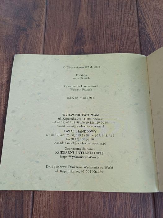 Świetlikowa grota Wioletta Sowa Wydawnictwo WAM