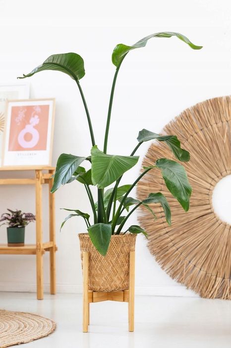 STOJAK NA KWIATY Bambusowy regulowany 35,7 CM – VILLAGO NEST