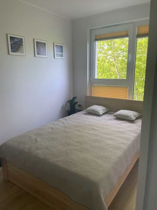 wynajmę mieszkanie Gdańsk ul. Ofiar Grudnia 70