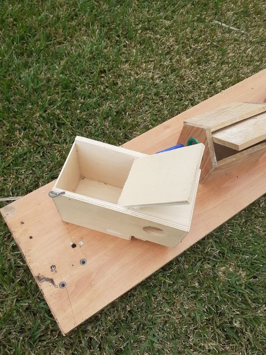 Ninhos para exóticos em bom estado