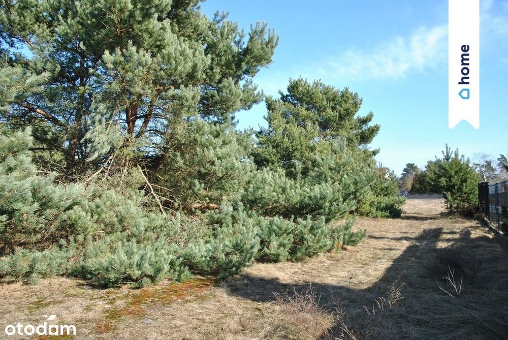 Działka 1049 m2 nad Zalewem Koronowskim
