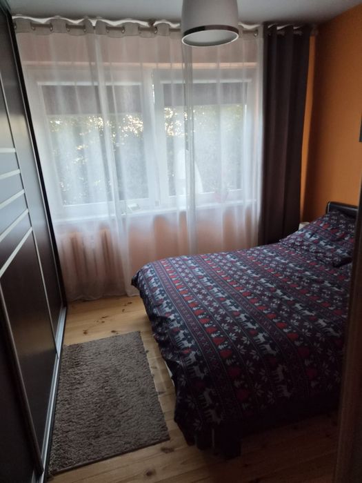 Zdjęcie 7