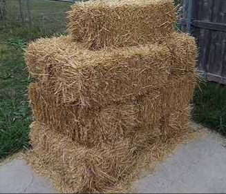 Сено собакам на подстилку, сіно солома в тюках та мешках