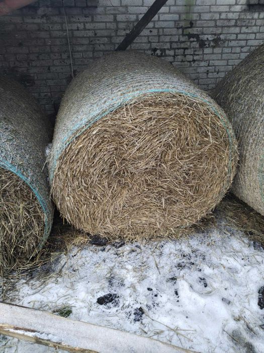 Sprzedam bele sianokiszonka/słoma/siano