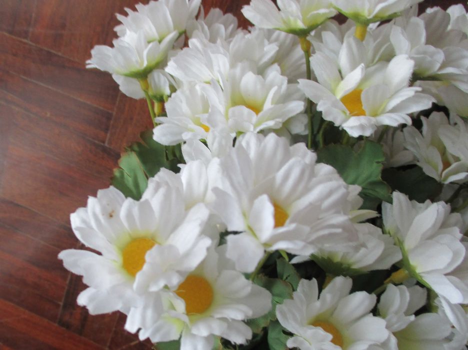 Alegras Malmequeres em Tecido