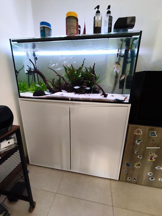 Aquário Aquatlantis
