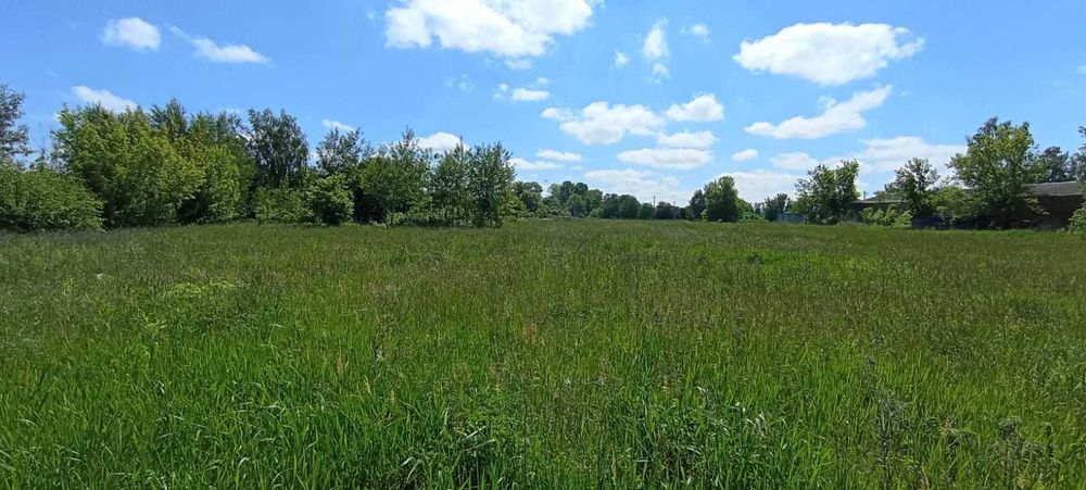 (8) Продається земельна ділянка в с. Слобода-Дашківецька 9890