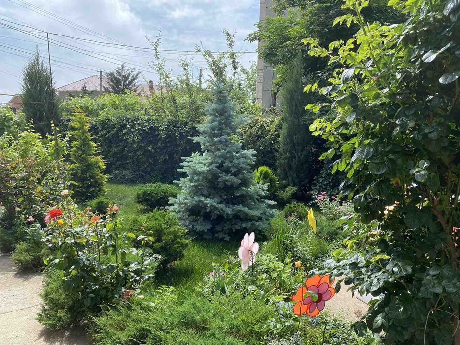 Хозяйский дом .Достойный. Фонтанка 1.