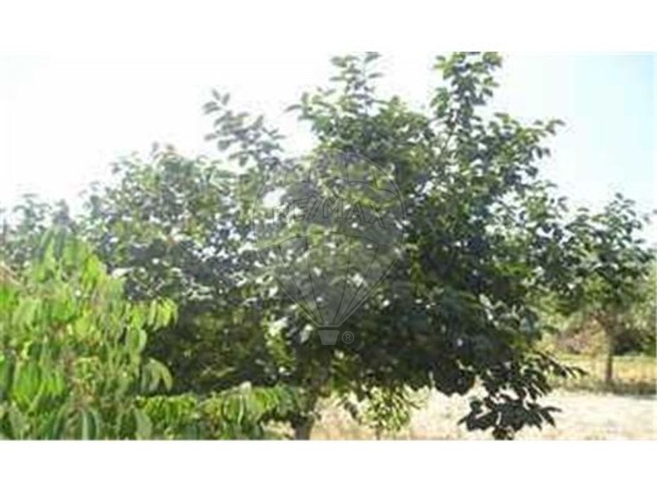 Quinta T0 para venda