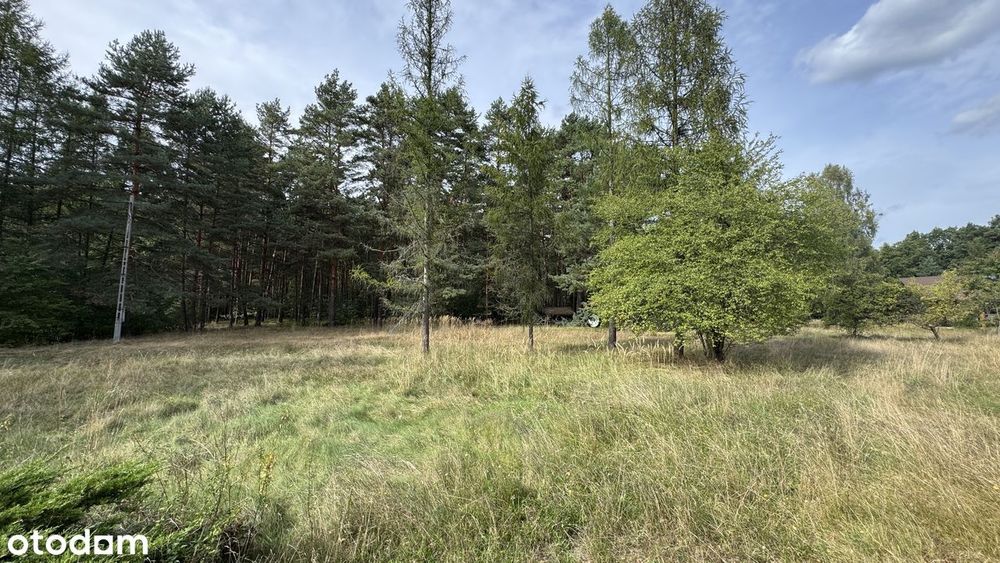 Przepiękna Duża Działka budowlana  - BEZPOŚREDNIO