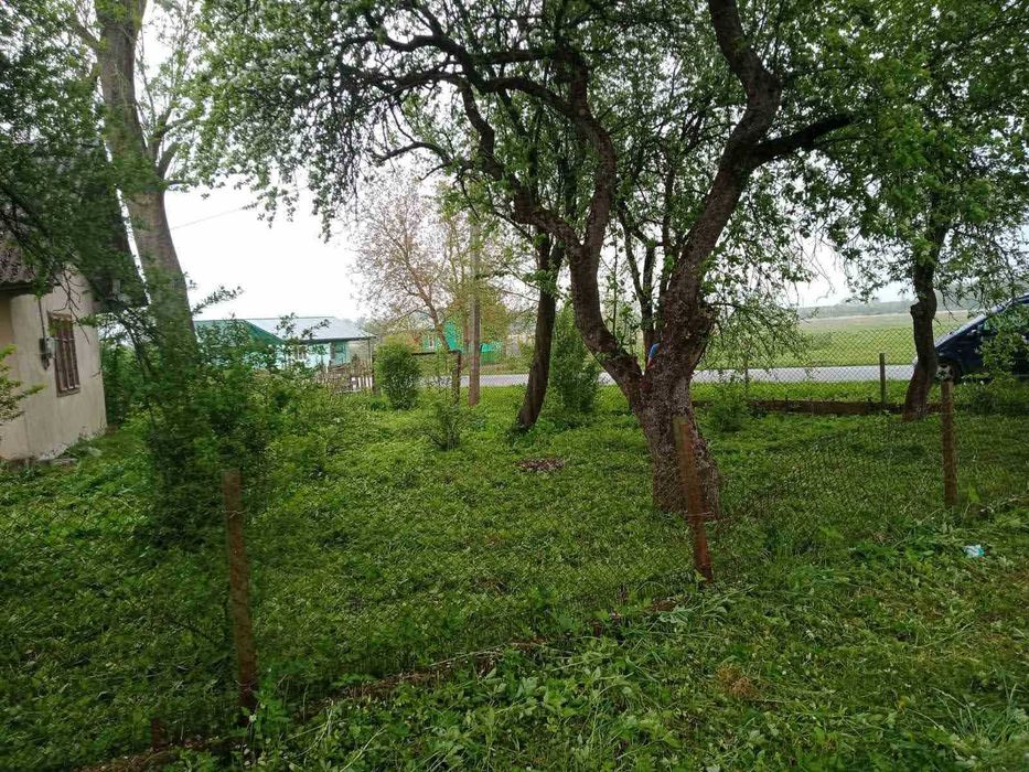 Будинок під знос