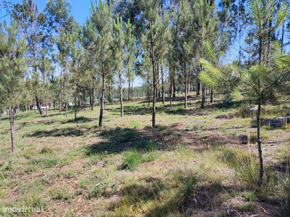 Terreno Rústico  Venda em Vilarinho das Cambas,Vila Nova de Famalicão — Vilarinho das Cambas, Braga