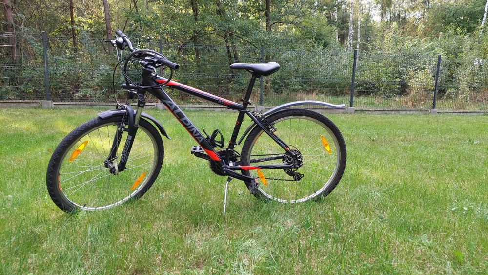 Rower Alpina ECO 20 M