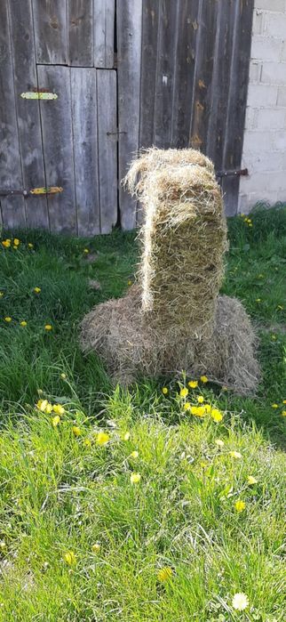 Siano w kostkach