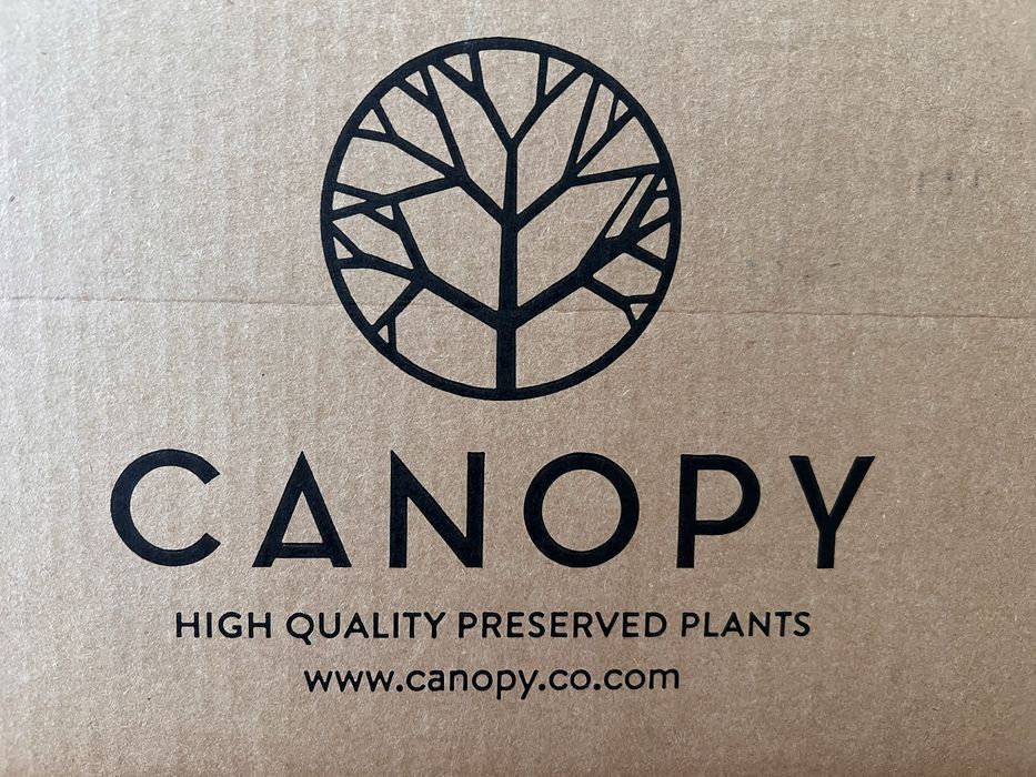 Musgo rena preservado 1kg