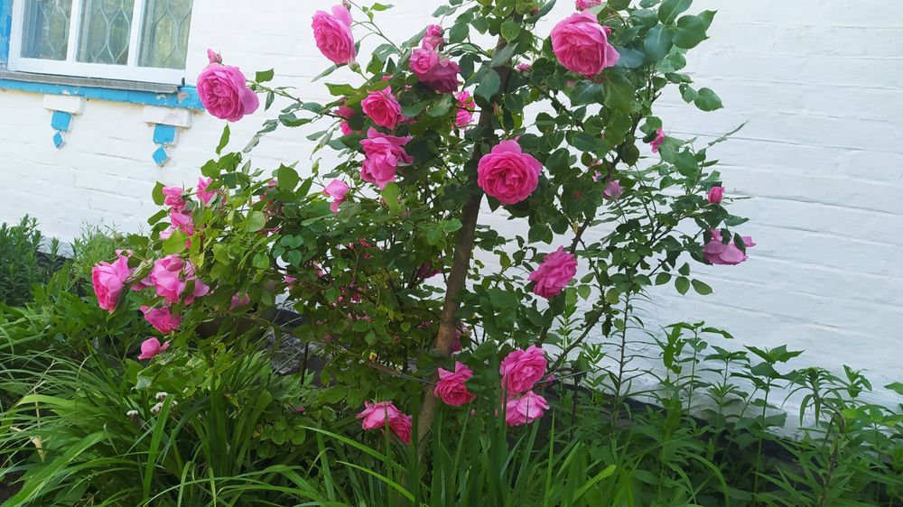 Продається будинок