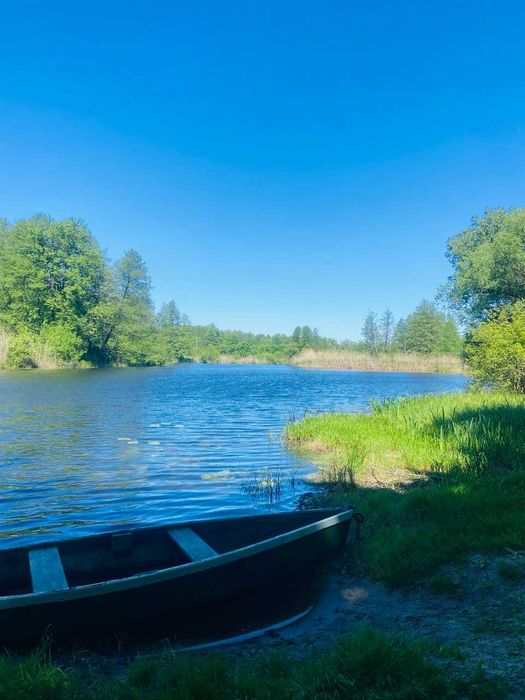 Земельна ділянка в сосновому лісі на березі річки