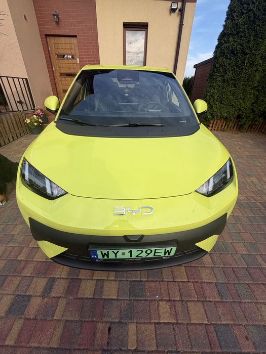 BYD Dolphin Surf