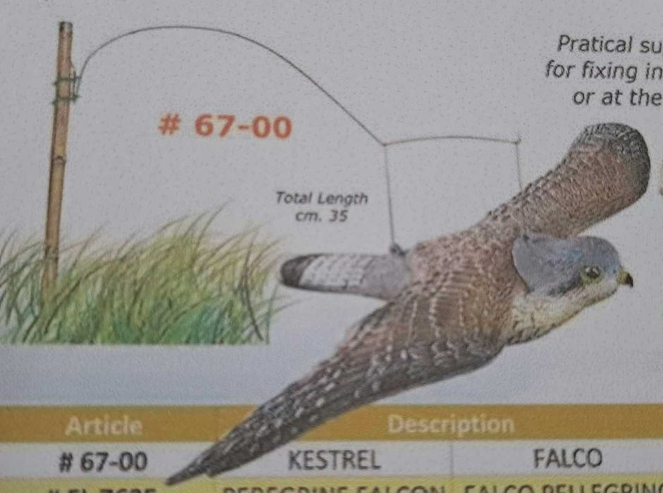 aves artificiais "decoys"